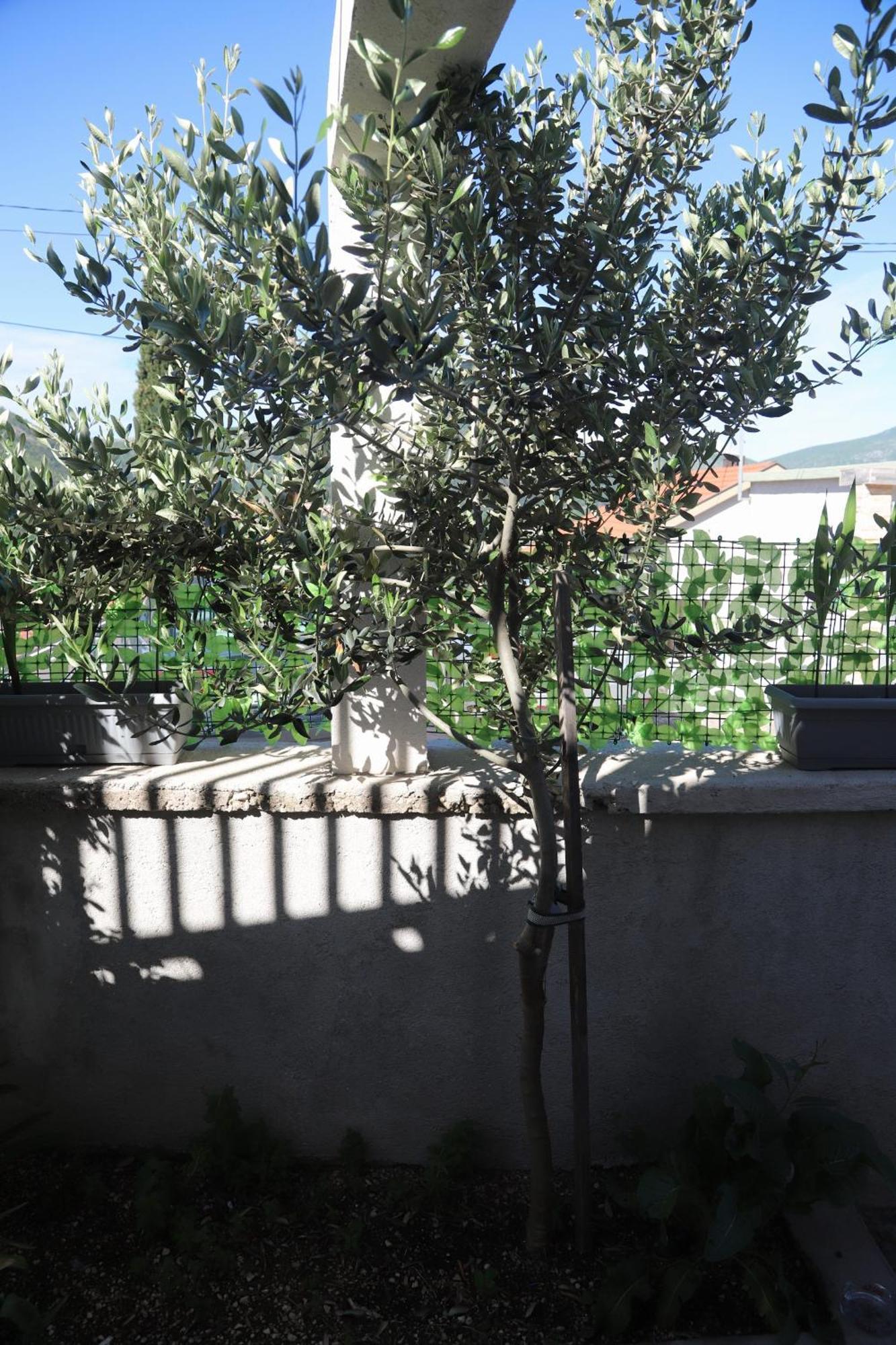 Apartman Hadze Mostar Exterior foto